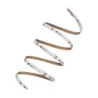 Ledvance Strisce LED Performance 78W 9125lm 24v - 965 Luce Del Giorno | 5M/8mm - Miglior Resa Cromatica