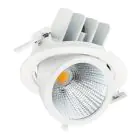 Philips Faretti LED LuxSpace Accent Performance RS782B 32W 3900lm 36D - 930 Luce Calda | 167mm - Miglior resa cromatica