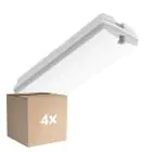 Confezione Multipack 4x Bulkhead LED Bianca 3W 280lm - 830 Luce Calda -  | IP66